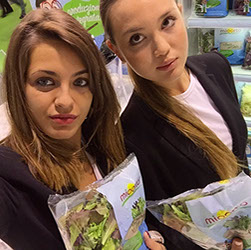 Hostesses presenting Mida fresh produce at a food and agriculture trade fair &mdash; event staff in New York